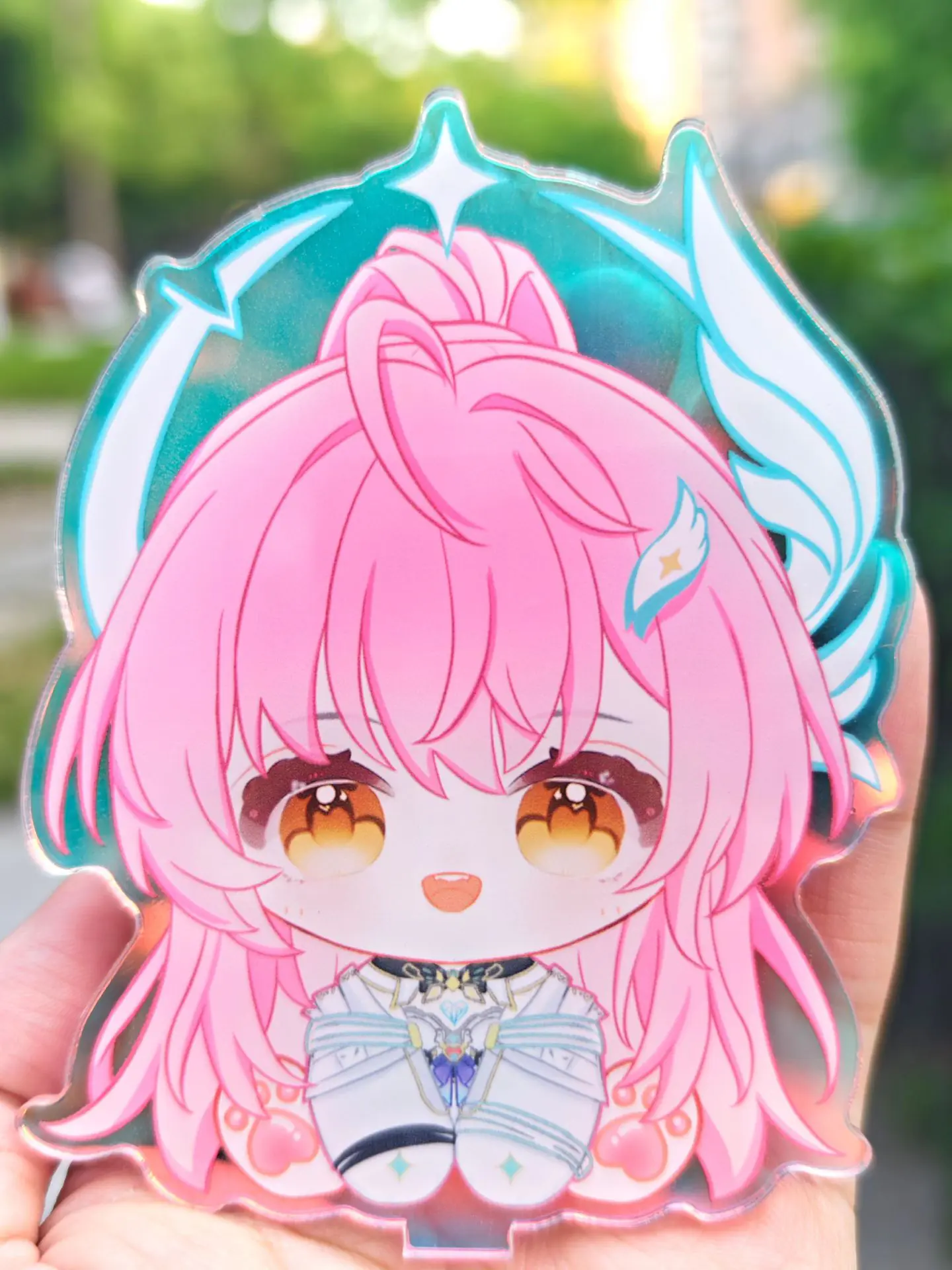 宝贝回家